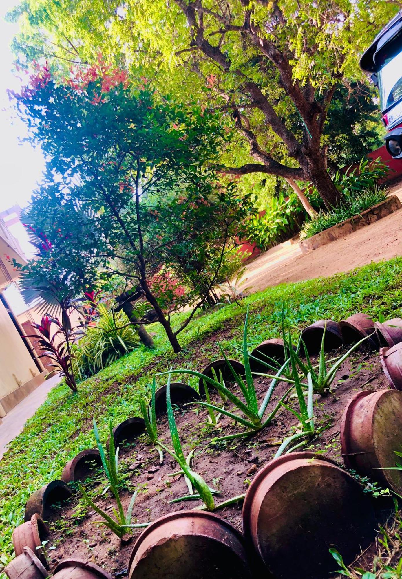 Saman Resort Yala Tissamaharama Dış mekan fotoğraf