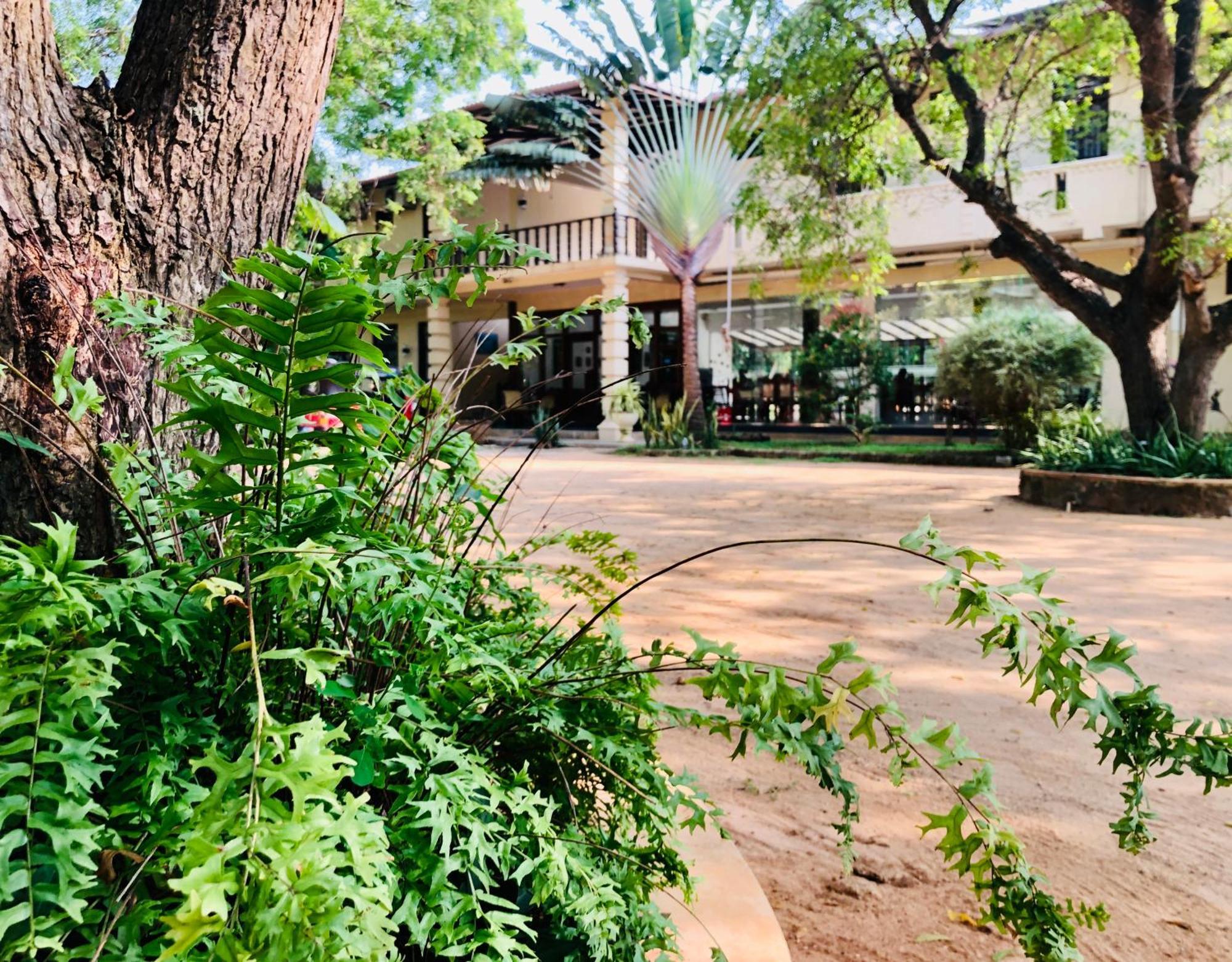 Saman Resort Yala Tissamaharama Dış mekan fotoğraf