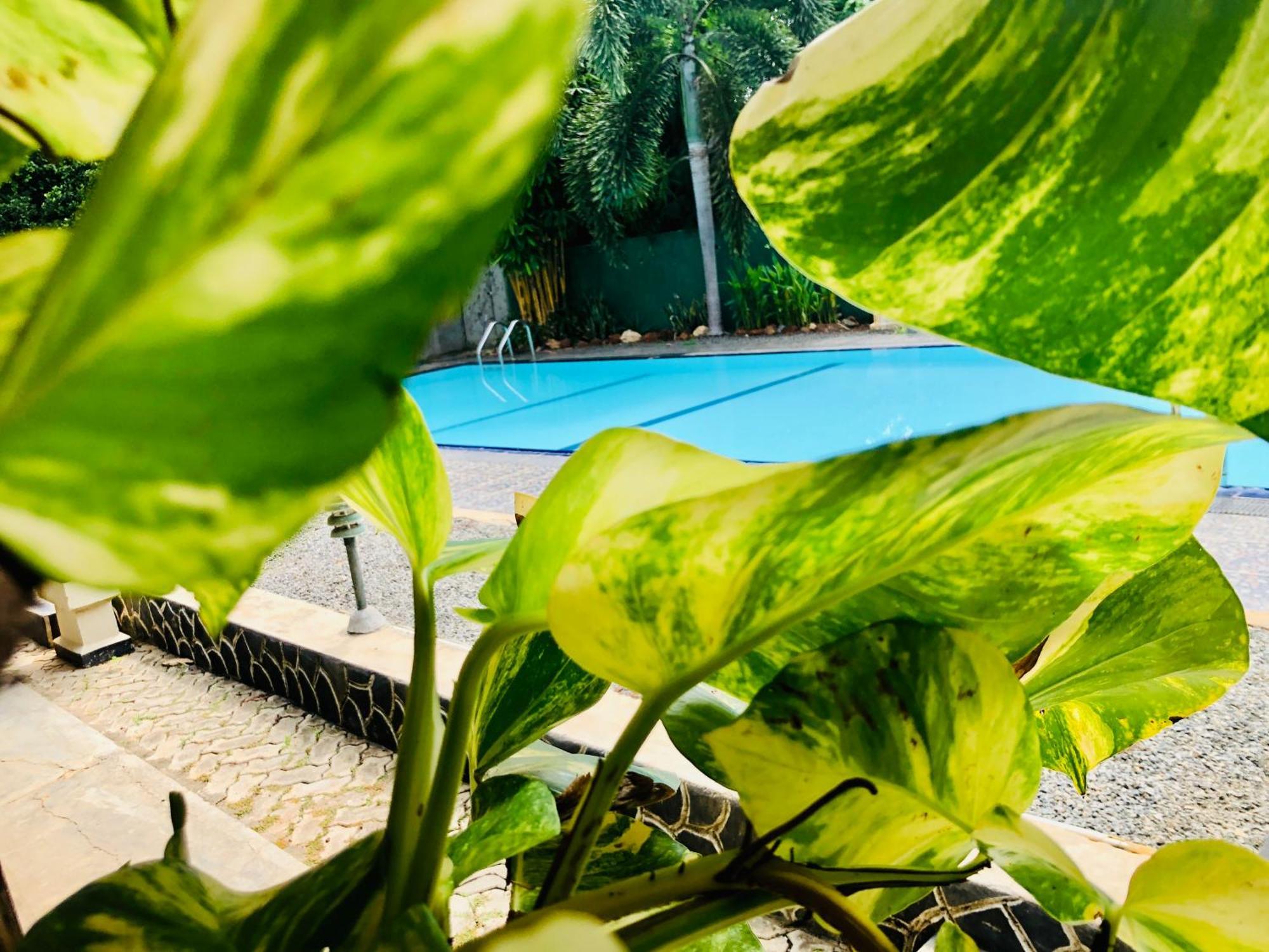 Saman Resort Yala Tissamaharama Dış mekan fotoğraf