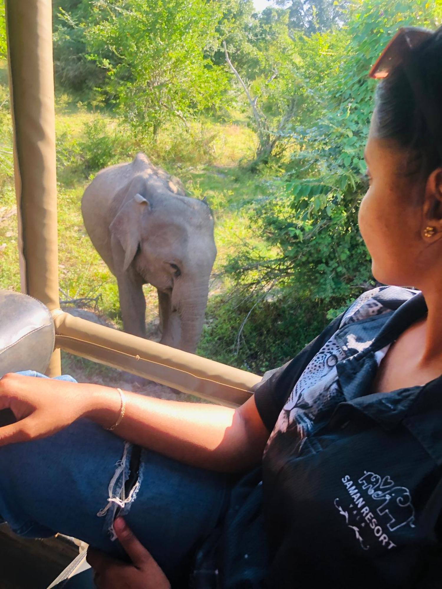 Saman Resort Yala Tissamaharama Dış mekan fotoğraf