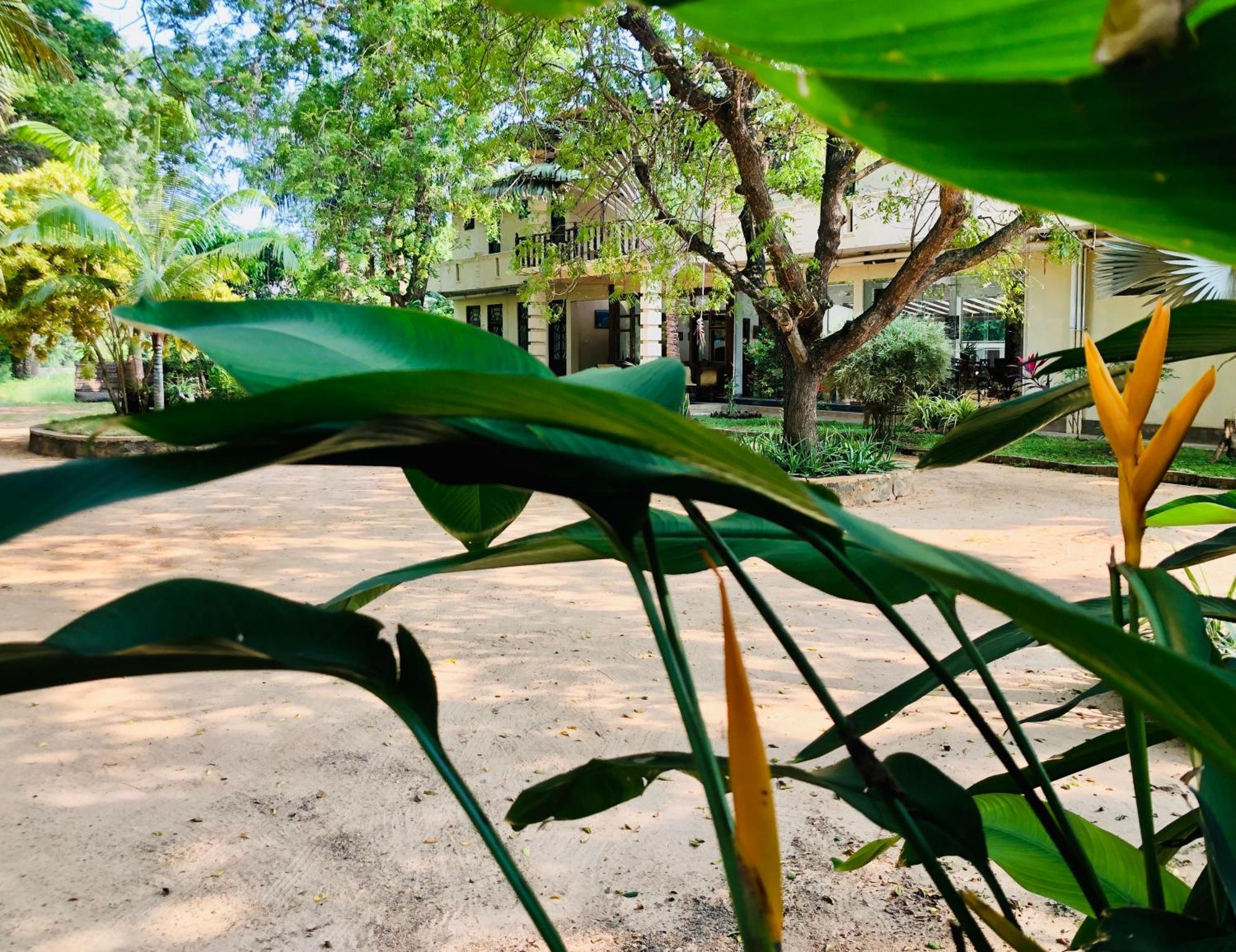 Saman Resort Yala Tissamaharama Dış mekan fotoğraf