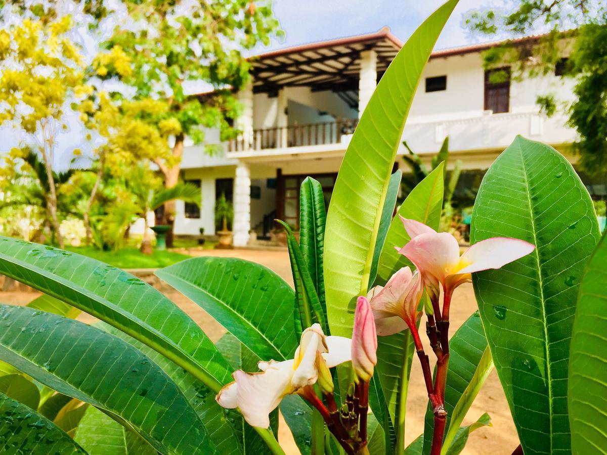 Saman Resort Yala Tissamaharama Dış mekan fotoğraf